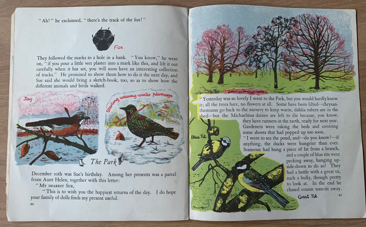 Elsie Few OUT OF DOORS Chatto & Windus NATURE STUDY Aug - Dec School Book - transpontinebooks