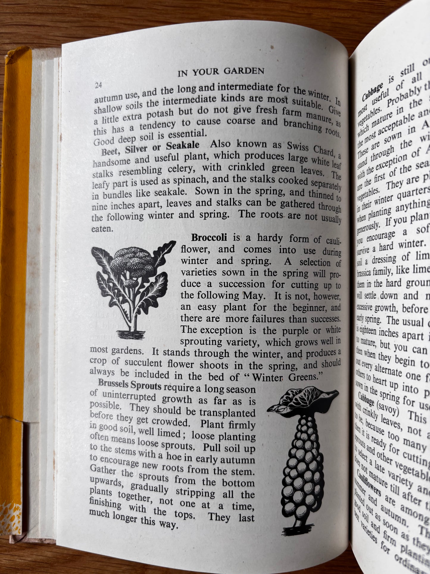 Eric Fraser IN YOUR GARDEN 1st Ed DJ 1940s C H Middleton ILLUSTRATED