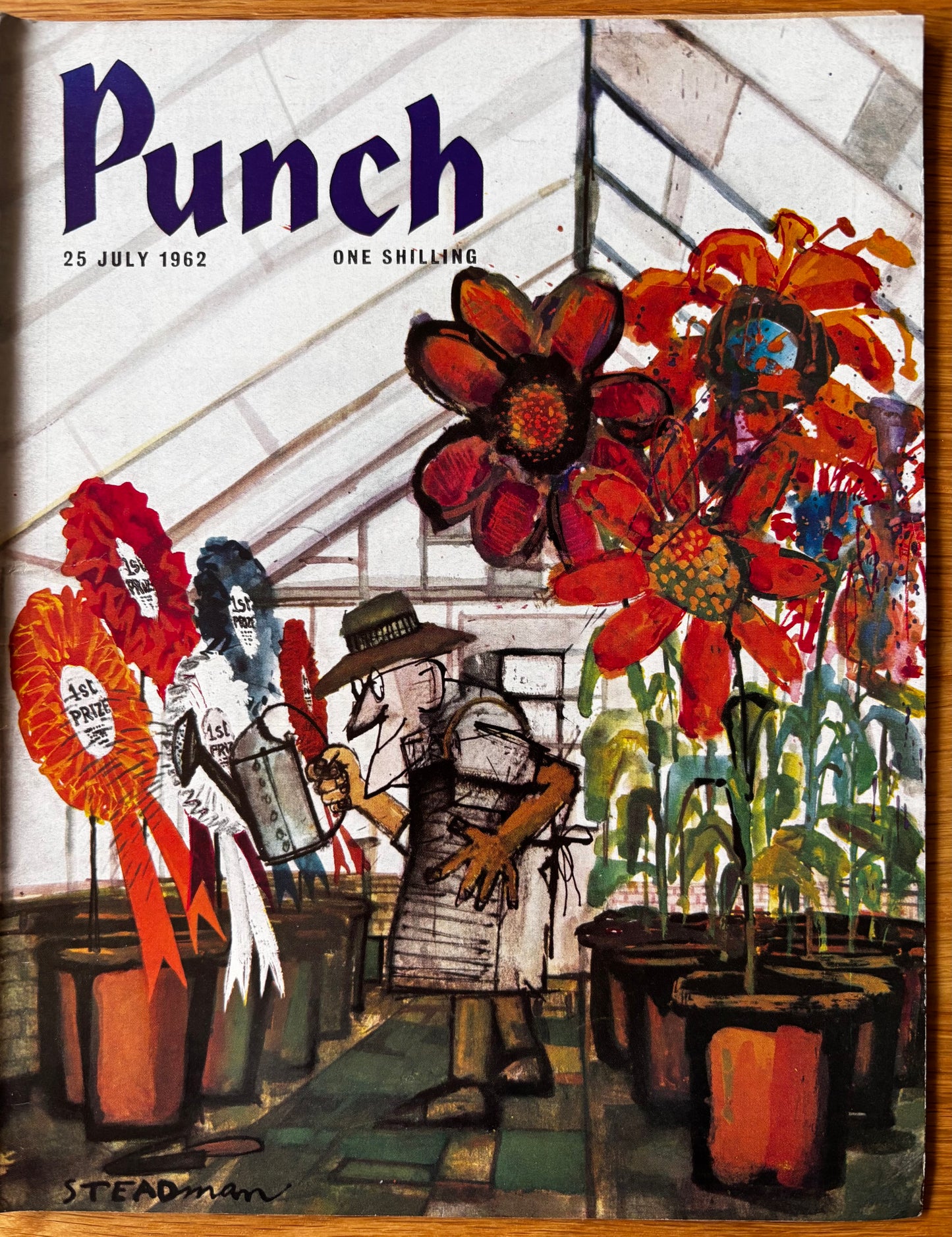 Ralph Steadman PUNCH MAGAZINE July 1962 60's ART ADVERTS CARTOONS Gardening