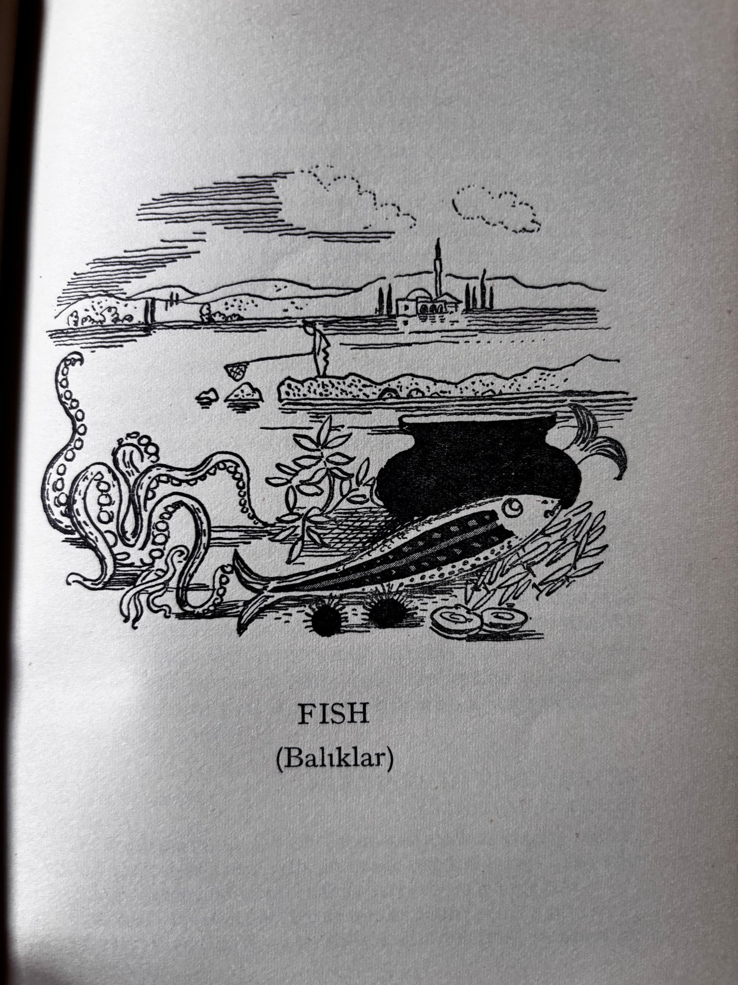 Osbert Lancaster SULTAN’S PLEASURE Robin Howe 1st Ed DJ 1952 Peter Garnett TURKISH COOKERY BOOK