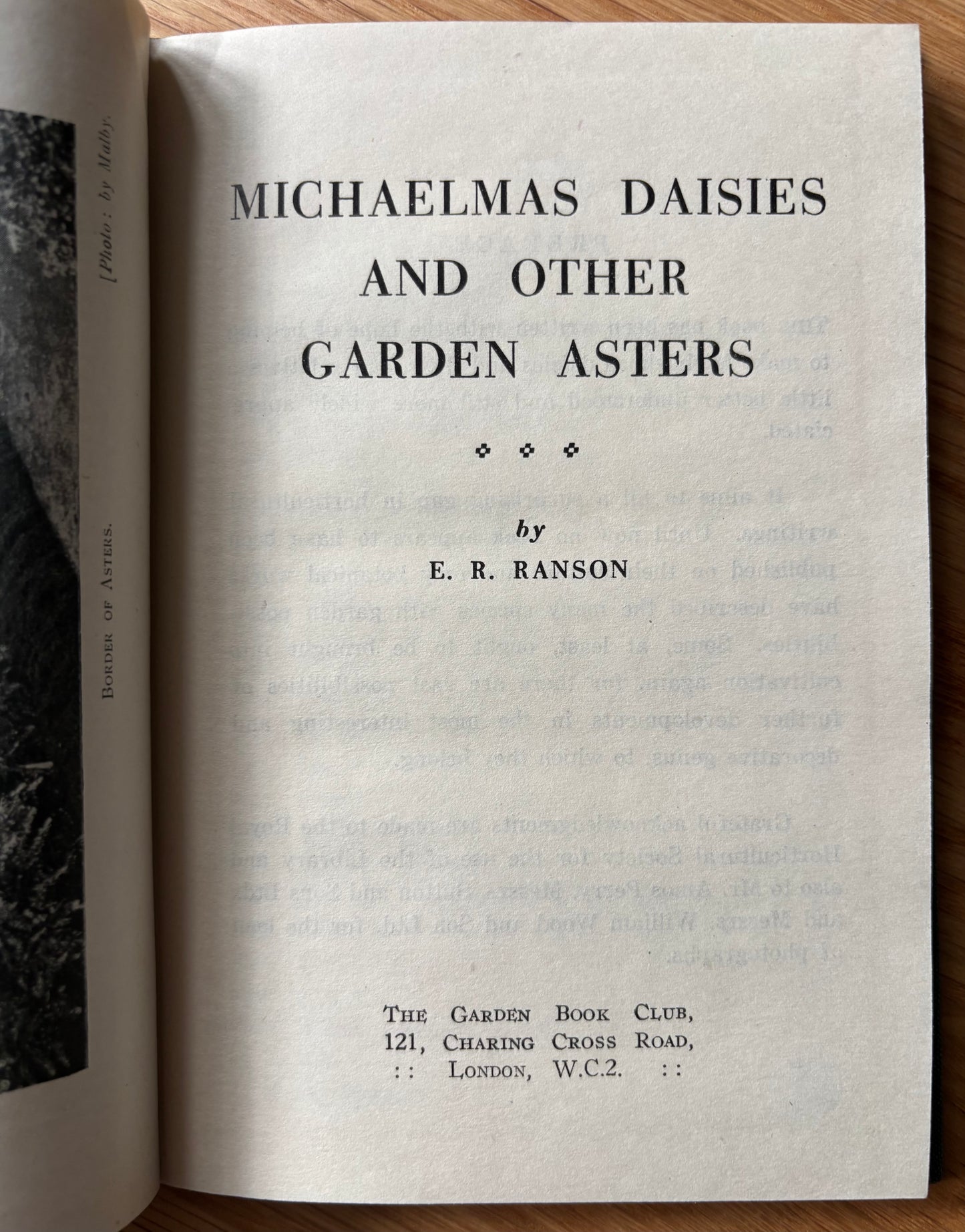 E R Ranson MICHAELMAS DAISIES & OTHER GARDEN ASTERS 1947 Book Club DJ