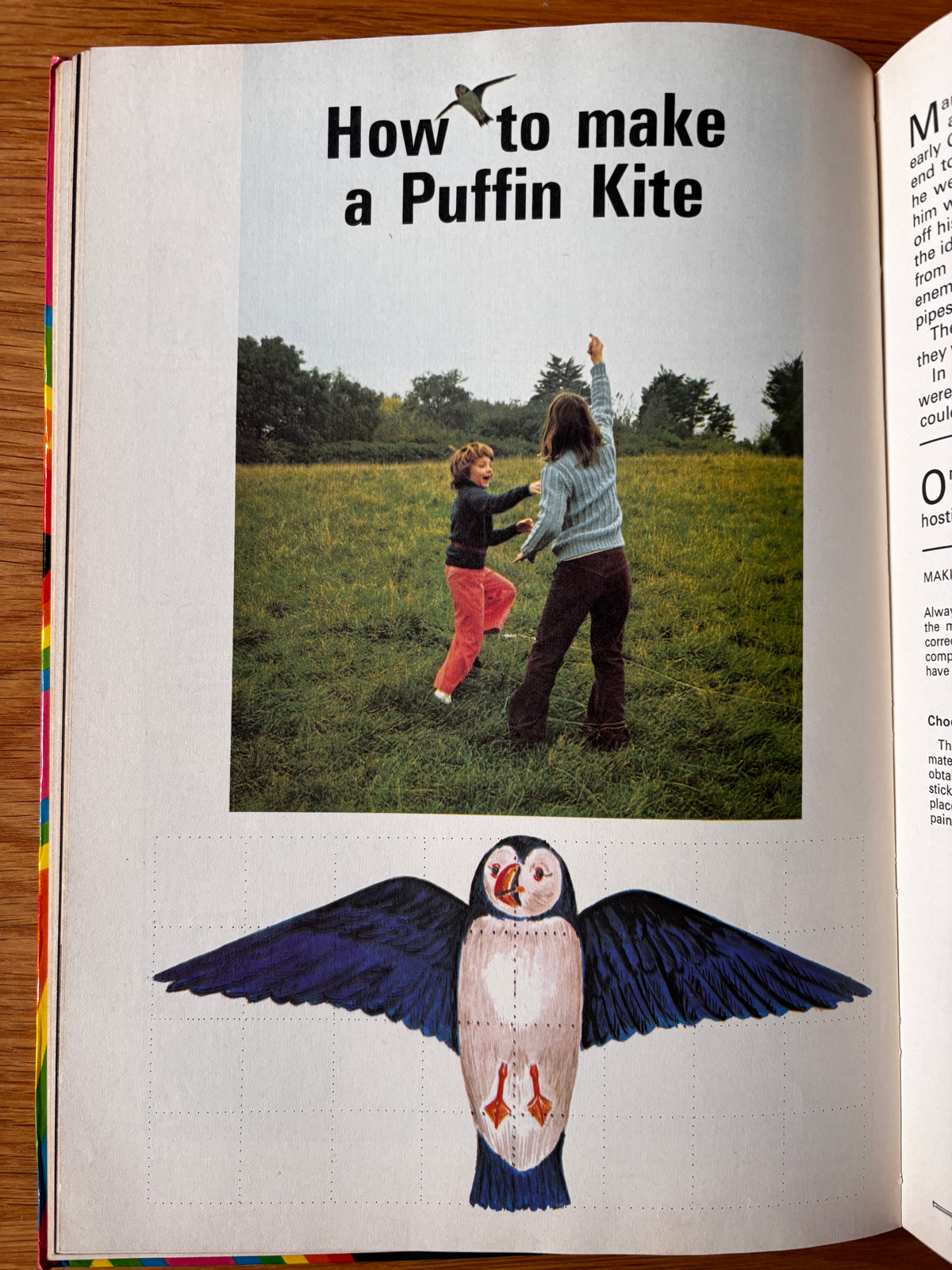 Jill McDonald PUFFIN ANNUAL 1 Pauline Baynes Peter Edwards BOOK Illustration Quentin Blake