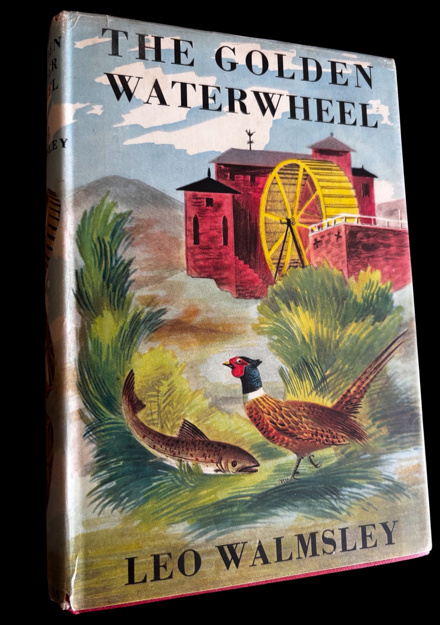 Barbara Jones THE GOLDEN WATERWHEEL DJ 1954 2nd Imp Leo Walmsley