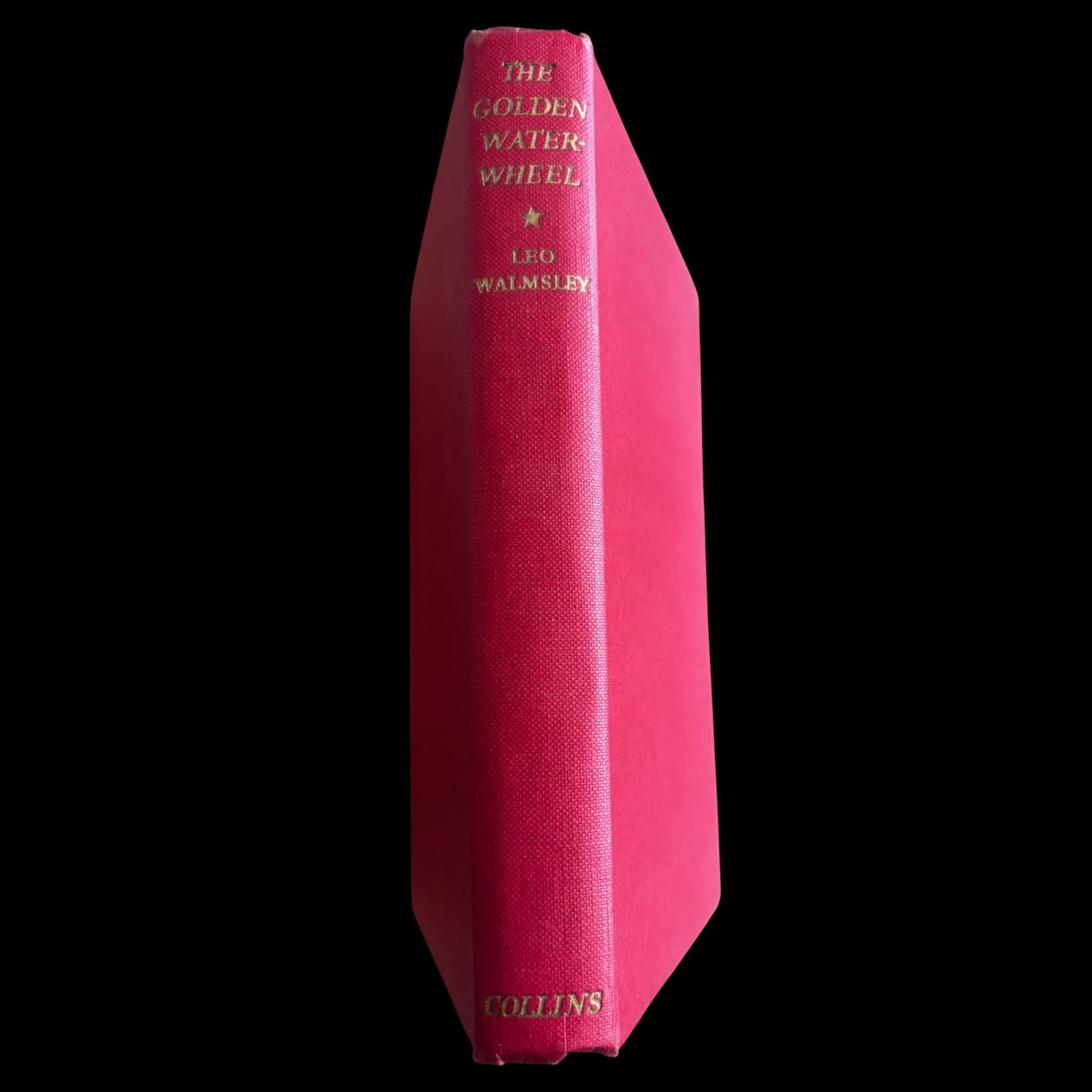 Barbara Jones THE GOLDEN WATERWHEEL DJ 1954 2nd Imp Leo Walmsley