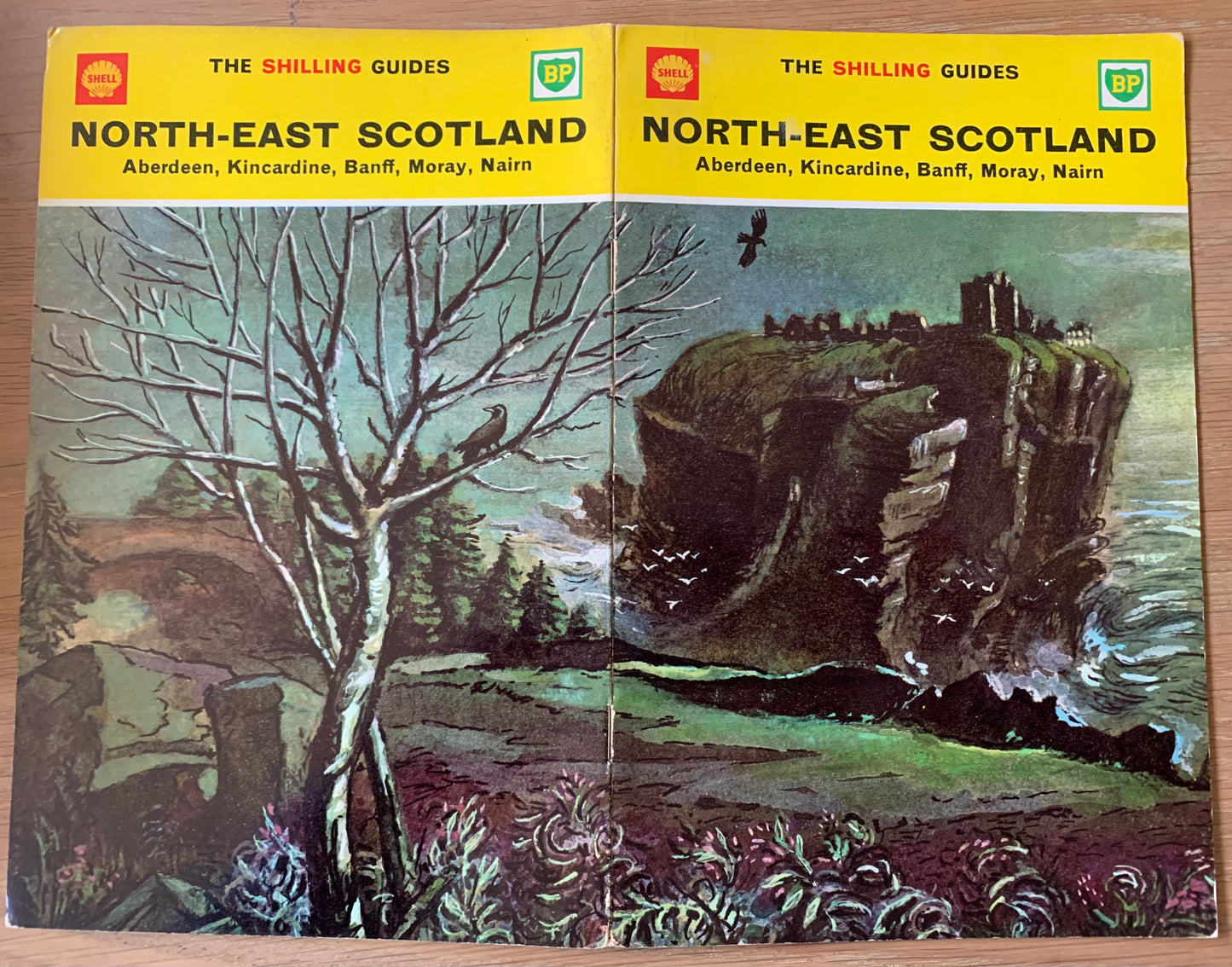 Edgar Ainsworth NORTH EAST SCOTLAND SHILLING GUIDE 1963 - transpontinebooks